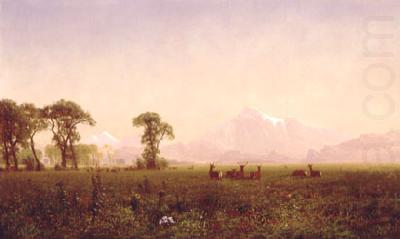 Elk Grazing in the Wind River Country, Albert Bierstadt